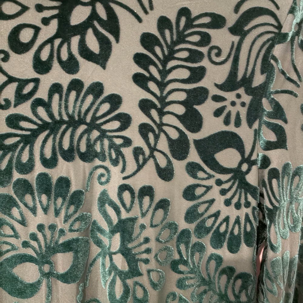 Soft Surroundings Small Burnout Green Velvet Turtle Neck Lined Top - Picture 4 of 10